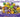 Giveaway! Win Mardi Gras Beads