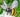 Wire-Wrapped Bumble Bees