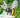 Wire-Wrapped Bumble Bees