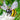 Wire-Wrapped Bumble Bees