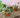 Beaded Plant Guide & Tutorials