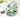 How-To Make an Evergreen Memory Wire Bracelet with Wendy Whitman
