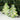 Christmas Tree Boho Bead Pair