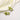 Charm Pair in Baby's Breath