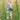 Bead Strand Duo in Ocean Eyes