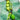Bead Strand Duo in Wicked Green