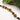 Bead Strand in Ball Python