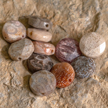 Beads By The Dozen in Fossil Hunt