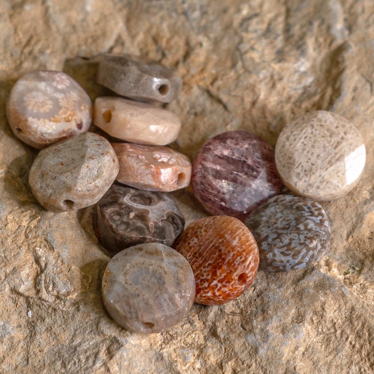 Beads By The Dozen in Fossil Hunt