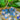 Bead Mix & Chain Bundle in Memories in Bloom