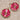 Fruity Charm Pair in Pink Grapefruit