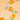Fruity Bead Strand in Orange, Orange, & Orange