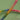 Cord