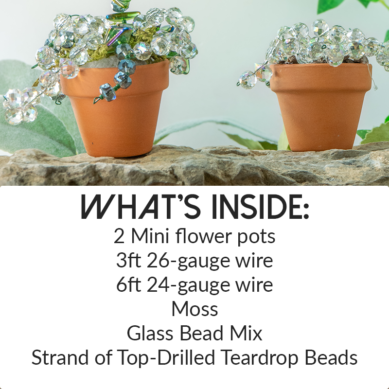 Mini Beaded Plant Kit