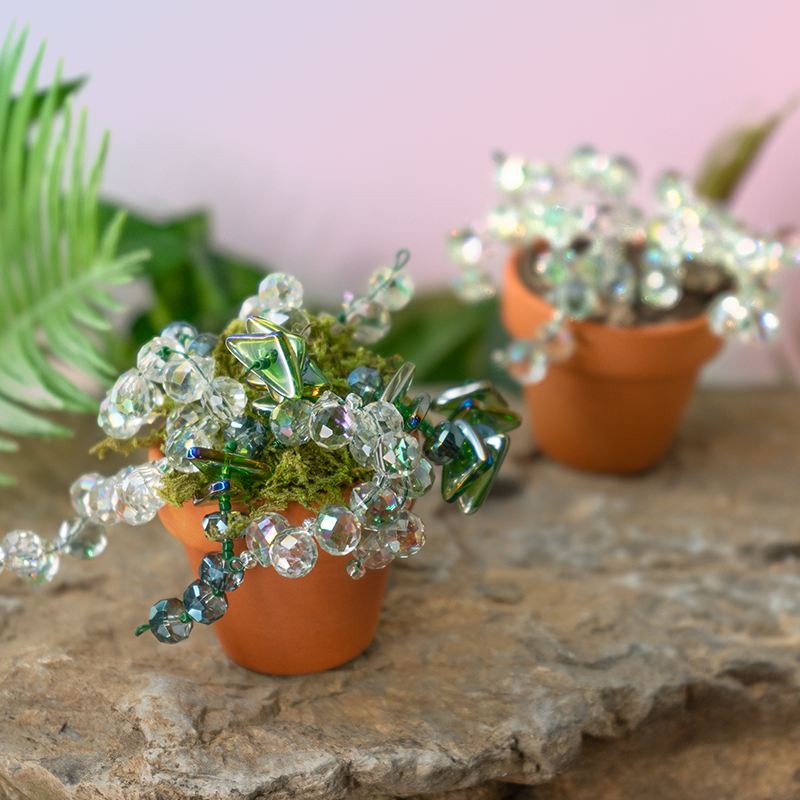 Mini Beaded Plant Kit