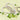 Birth Month Flower Keychain Kit in May Lily Of The Valley