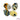 Wallflower Bead Set