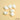 Conch Shell Beads