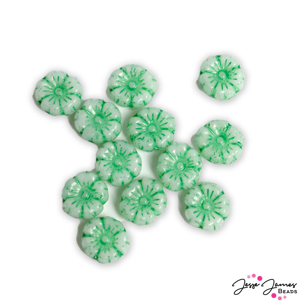 JohnBead Pressed Flowers in Mint Green