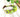 How-To Jewelry: Avocado Baby! Bracelet