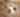 How-To Video: Holi Beaded Earrings