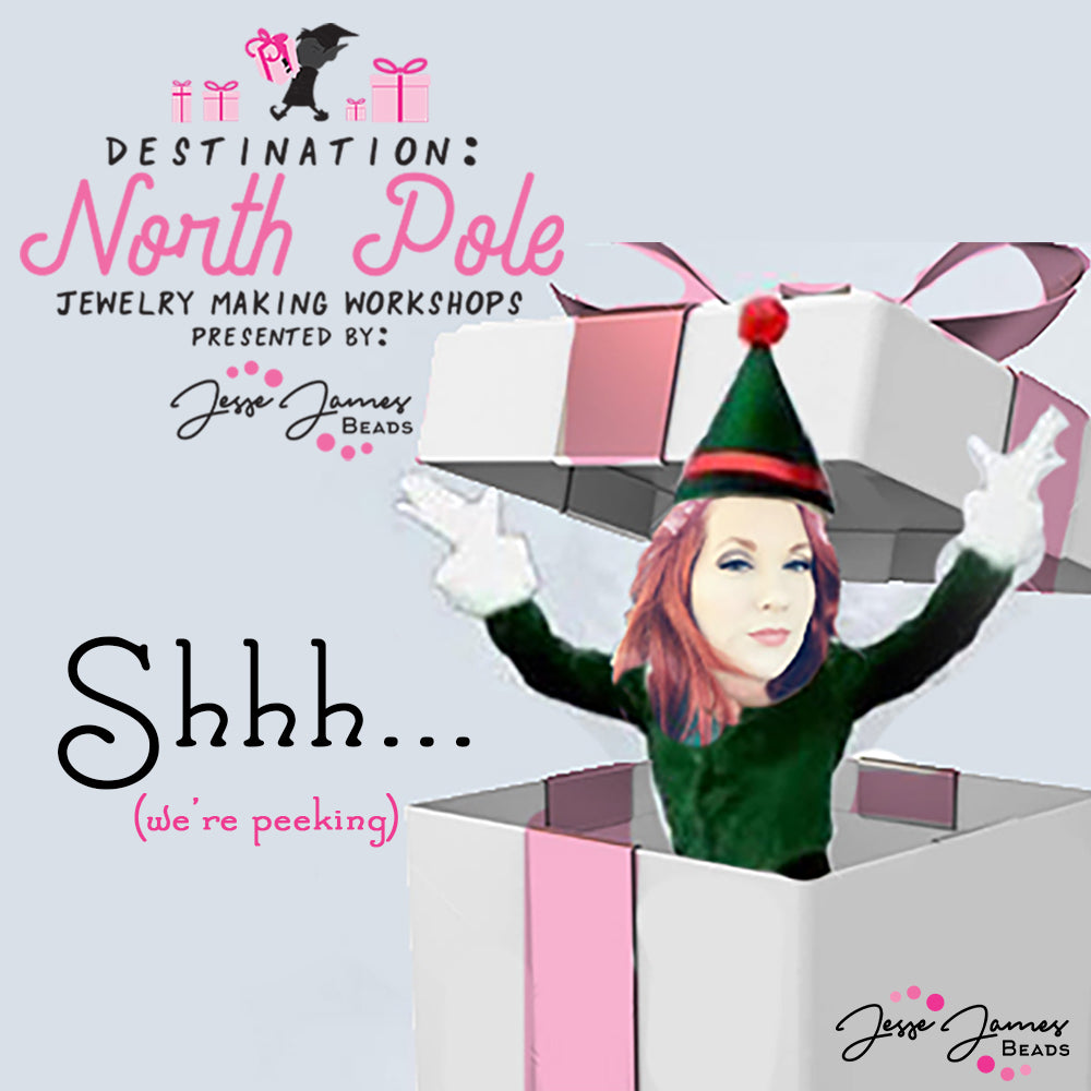 Destination: North Pole- Sneak Peak Unboxing