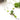 How-To Video: Enter The Dragonfly Necklace
