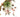 How-To Video: Desert Rose Necklace