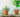 Create Beaded Plants with Jesse James Beads