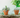 Create Beaded Plants with Jesse James Beads