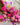 Bead Mixes