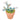 Cactus Beaded Plant Kit