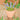Lavender Beaded Plant Kit