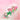 Best Friends Forever Focal Silicone & Boho Bead Mix