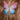 Chiffon Pearl Butterfly Hair Clip