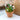 Make your own beaded cactus all in one kit