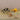 Jesse James Beads all-in-one beaded spider kits