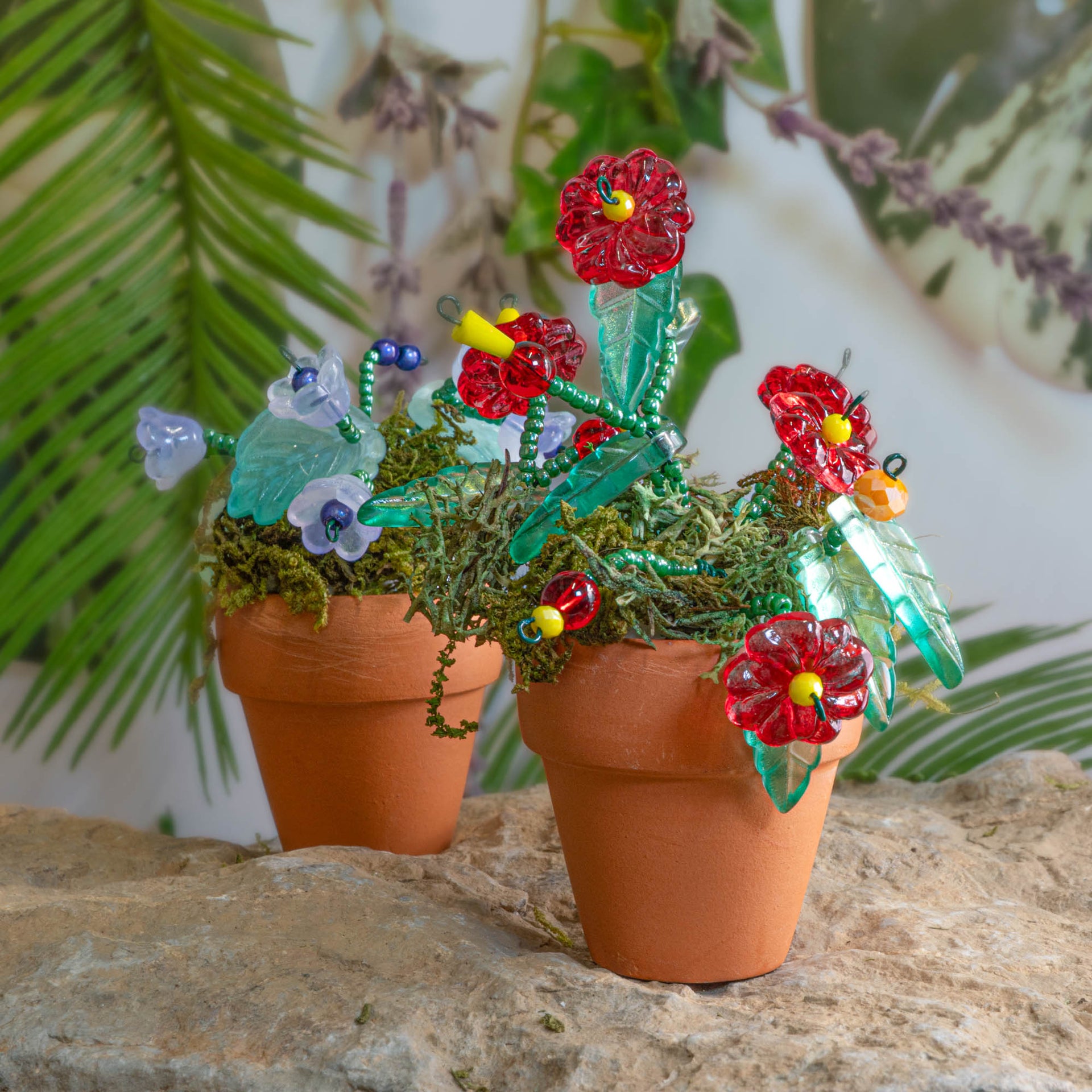 moisture beads for potted plants Mini Beaded Plant Kit