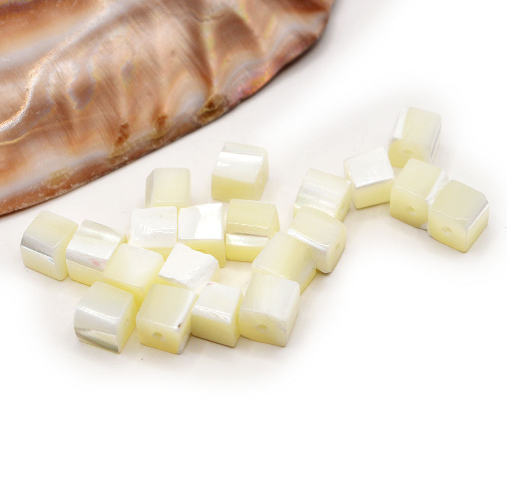 Natural Trochid Shell Cube Bead Set