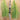 Bead Strand in Graveyard Garden
