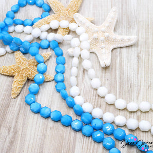 Bead Strand in Willard Beach