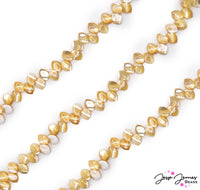 Enjoy a cup of the finest tea with these bright tan beads. this strand of same-style beads features a tea-leaf shape and a perfectly brewed amber-tan color.  Approx 60 beads per strand. Measure 9mm X 6mm X 3mm. 