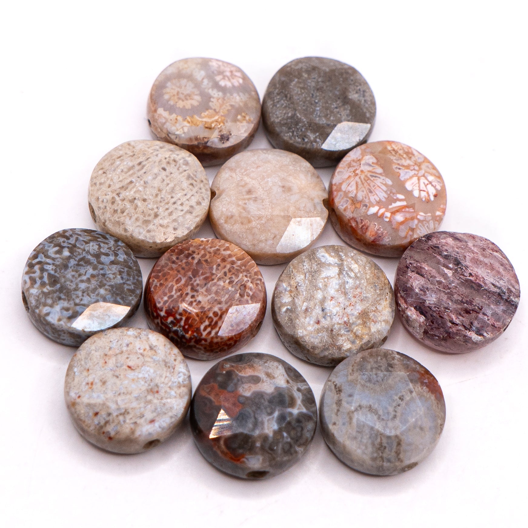 Beads By The Dozen in Fossil Hunt