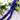 Designed By Me Strand in Navy Single-Style Cubes
