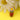 Potted Daisy Silicone Focal Bead