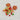 Bead Mix in Poinsettia