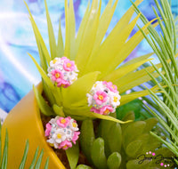 Floral Boho Bead Pair in Coconut Grove