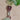 Fruit Bead Strand in Grape Vineyard