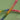Cord