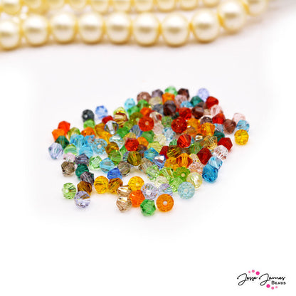 Glass Bead Set in Rainbow Bicones